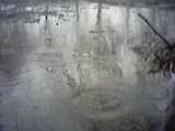 a rain puddle