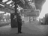 Central Line Platforms closed at Ealing Broadway