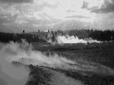 A field of steam at the Craters of the Moon