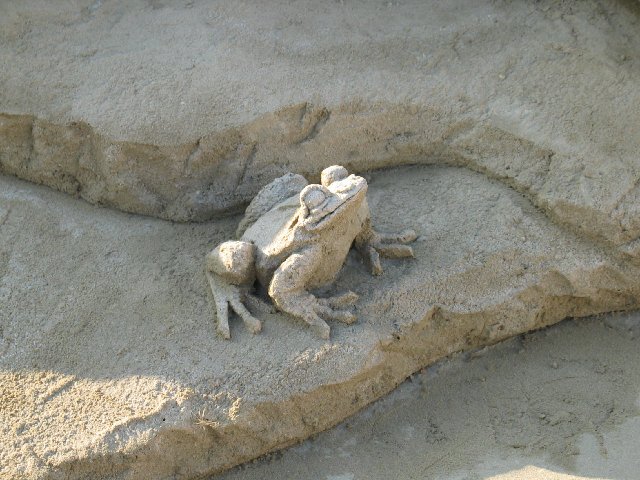 Frog