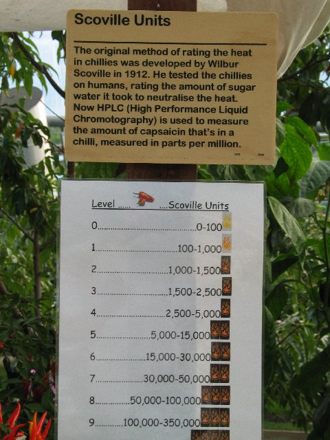 Eden V