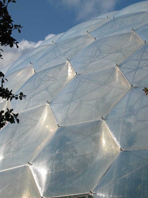 Eden VII