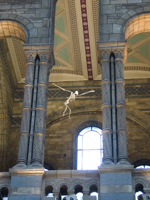 Skeleton on balcony