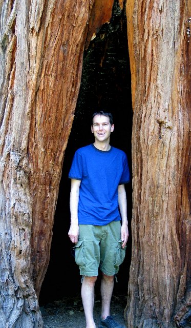 Richard in a tree