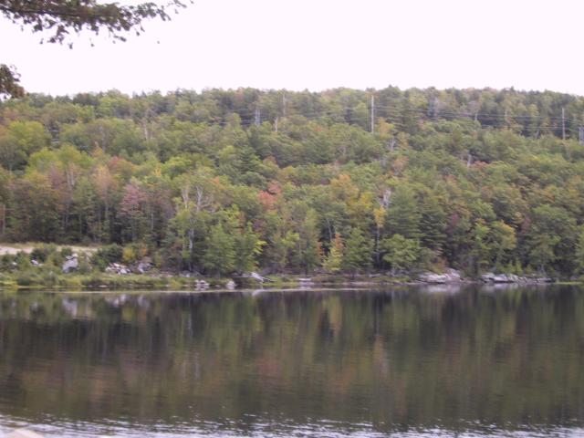 At Rumford