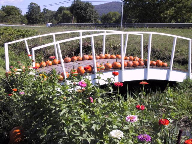 Pumpkins on a bridge