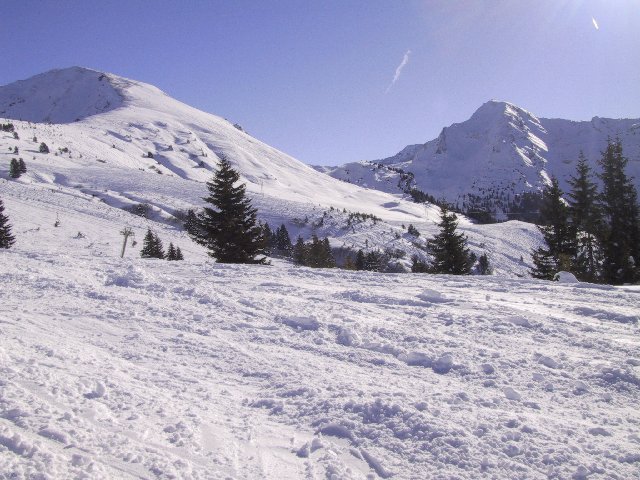 Beautiful snowy view