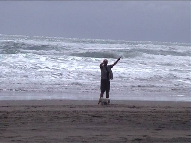 Cayne being sniffed by a dog at Piha, whilst flying his kite