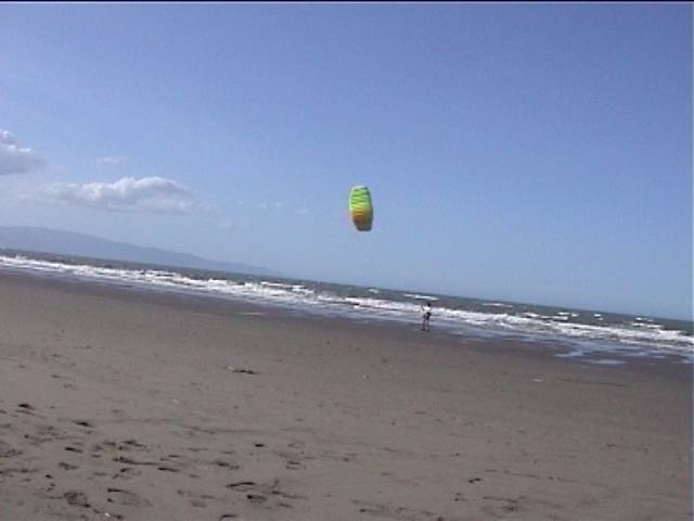 Richard and the kite at Rabbit Island