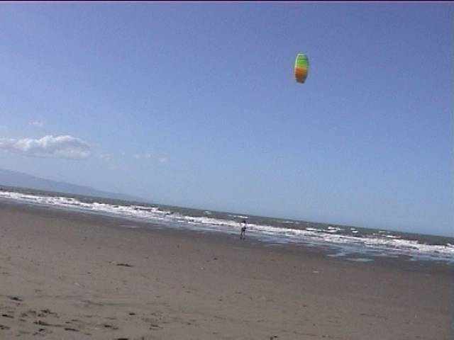 Richard and the kite again at Rabbit Island