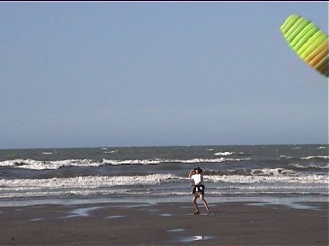 Richard and the kite at Rabbit Island