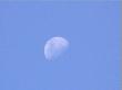 The Moon