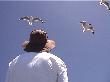 Richard and the seagulls at Kaikoura