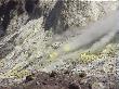 On White Island, the sulphur deposits