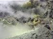 Sulphur and Steam